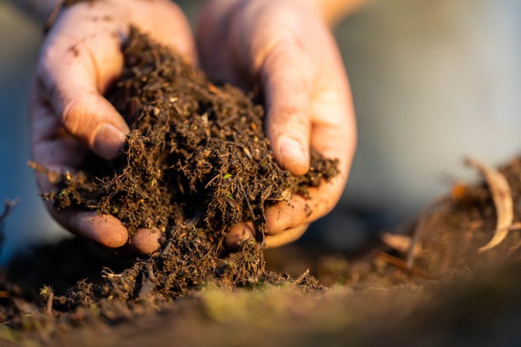 Your Complete Guide to Soil Testing in Mackay