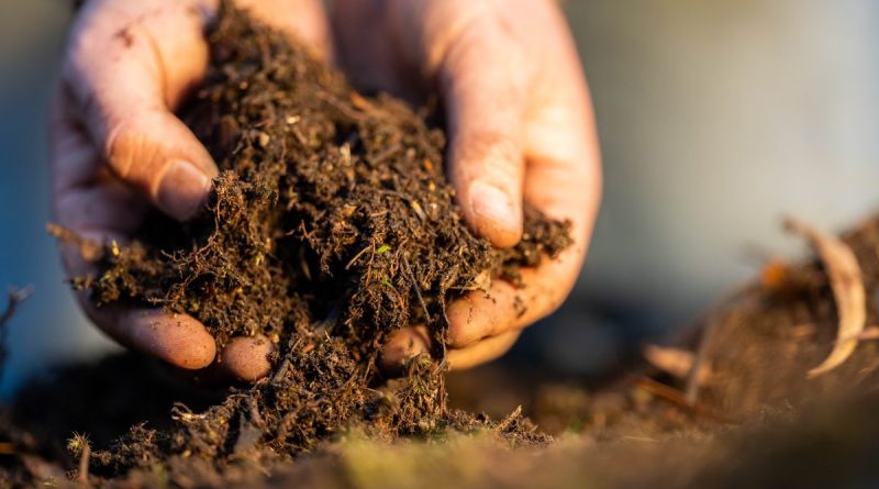 Your Complete Guide to Soil Testing in Mackay