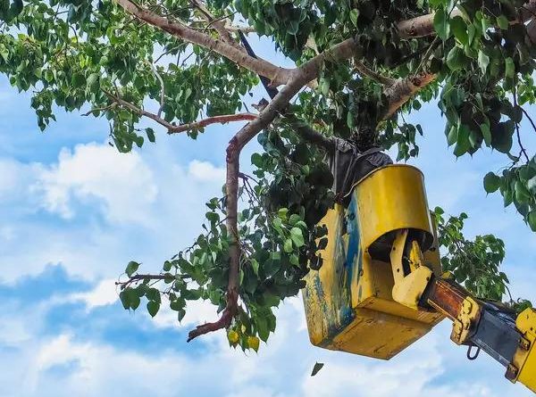 The Critical Role of Family Law Attorneys in High-Conflict Divorces