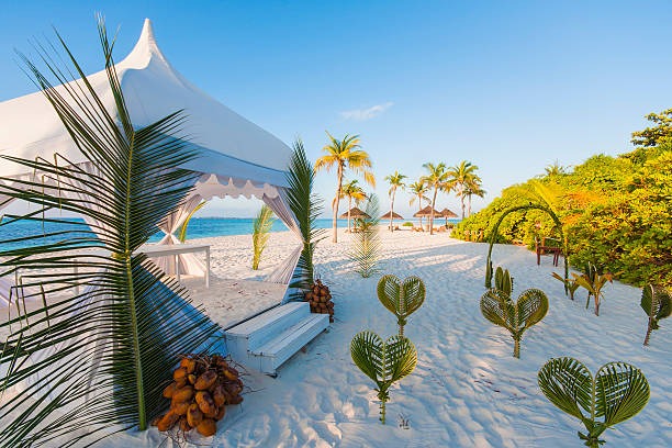 Custom Pergola Systems: Materials, Styles, and Installation Guide