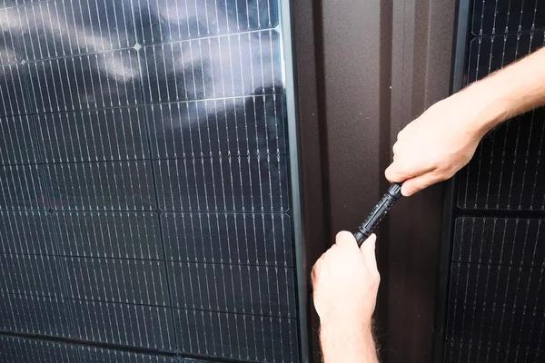 Clean, Safe, and Reliable Pet Grooming in Port St. Lucie