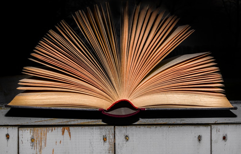 Academic Reading Strategies Using The Norton Anthology of American Literature Package 2, 10th Edition