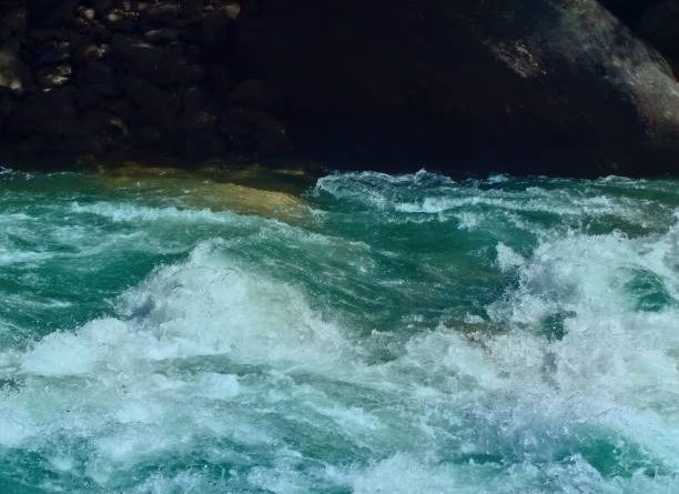 Latest Surf Resources for Learning and Training