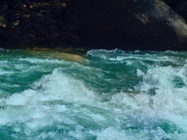 Latest Surf Resources for Learning and Training