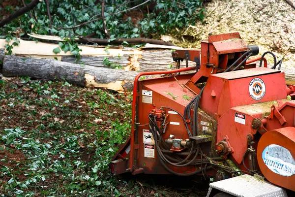 Fast Jackson MI Tree Removal Services at Competitive Prices