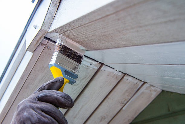 Essential Tree Services in Rutland for Every Property Owner