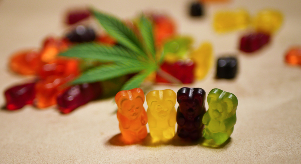 Find the Right Live Rosin Gummy Brands with This Comprehensive Guide