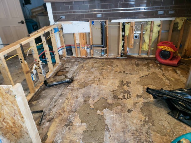 Why Choose Professional Indianapolis Crawl Space Services