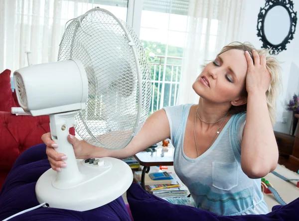 Keep Your HVAC System Running With Davis Air Conditioning & Heating