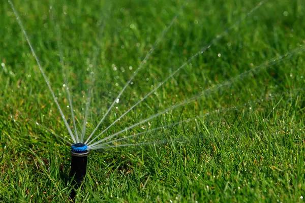 Dependable water mitigation services for commercial properties